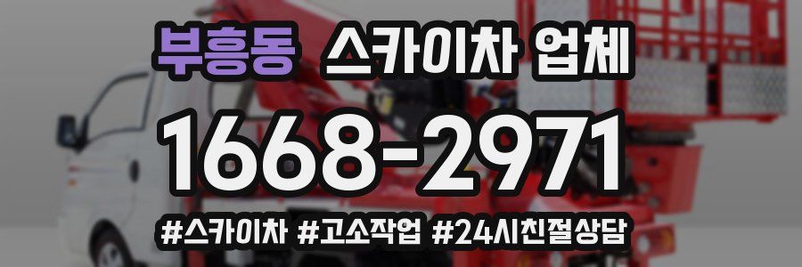 부흥동 스카이차 업체