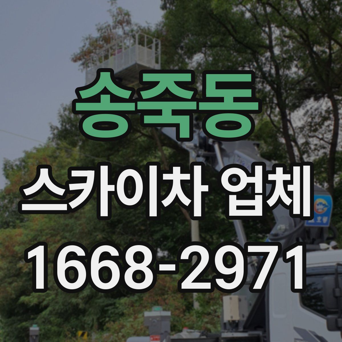 송죽동 스카이차 업체