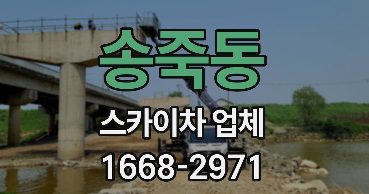송죽동 스카이차 업체