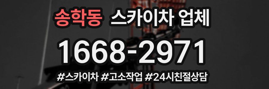 송학동 스카이차 업체