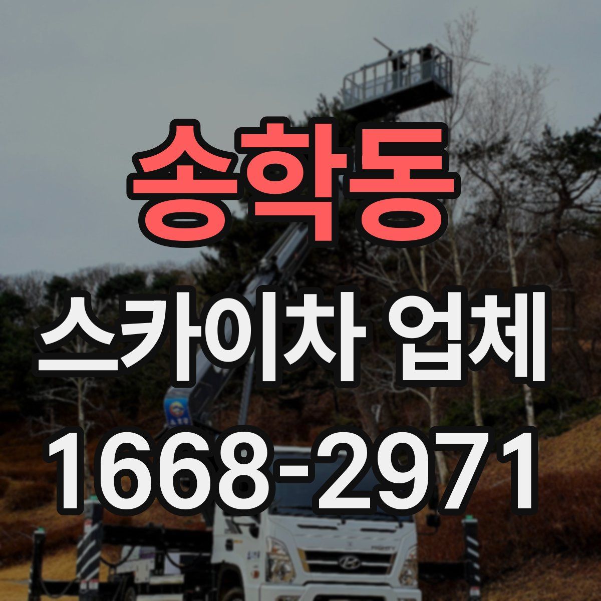 송학동 스카이차 업체