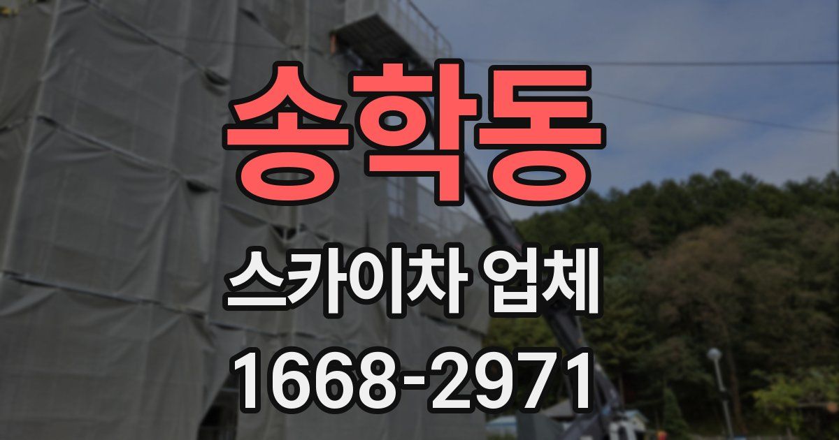 송학동 스카이차 업체