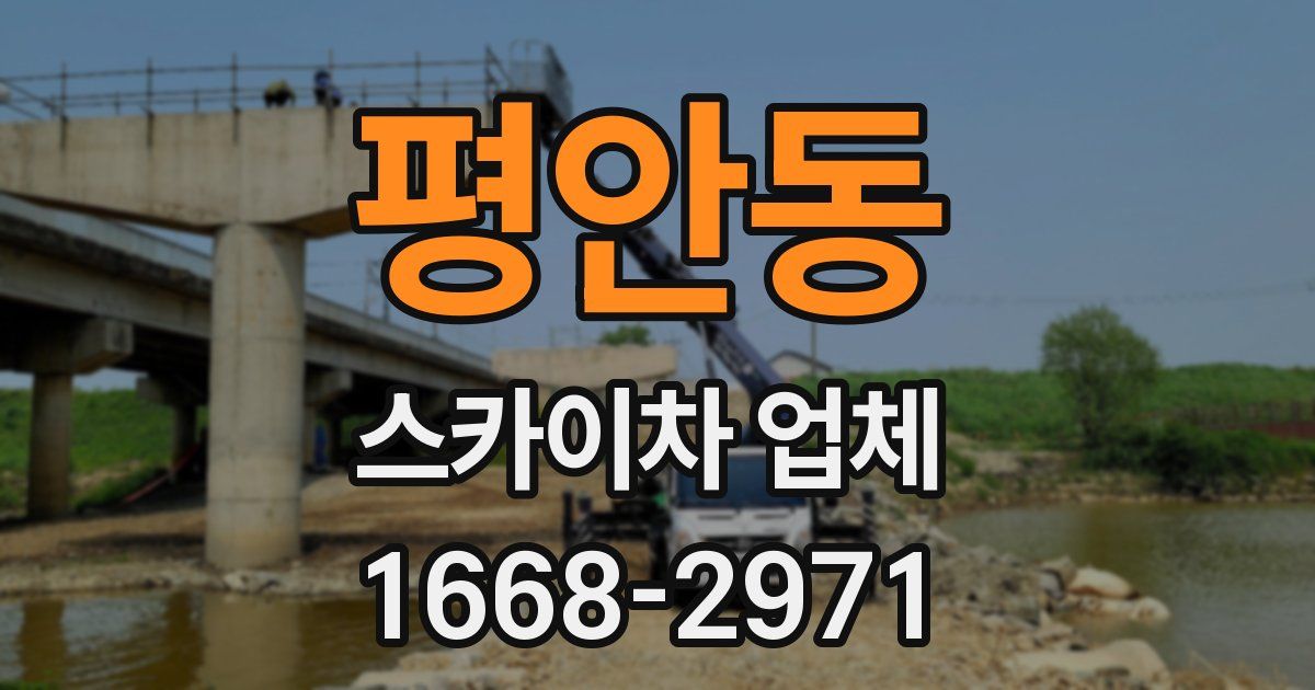 평안동 스카이차 업체