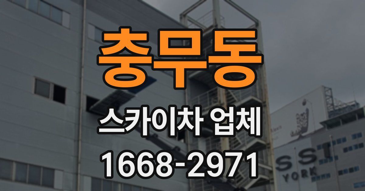 충무동 스카이차 업체