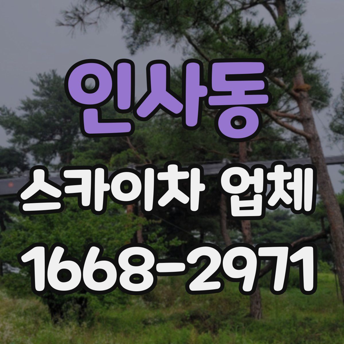 인사동 스카이차 업체
