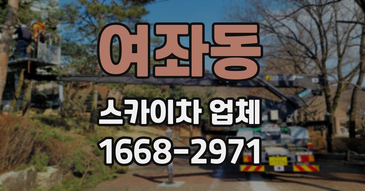 여좌동 스카이차 업체
