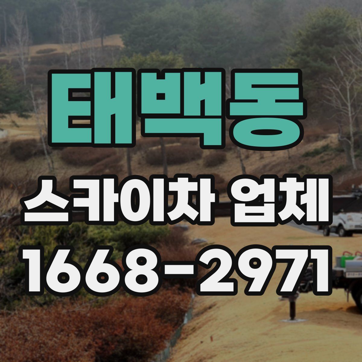 태백동 스카이차 업체