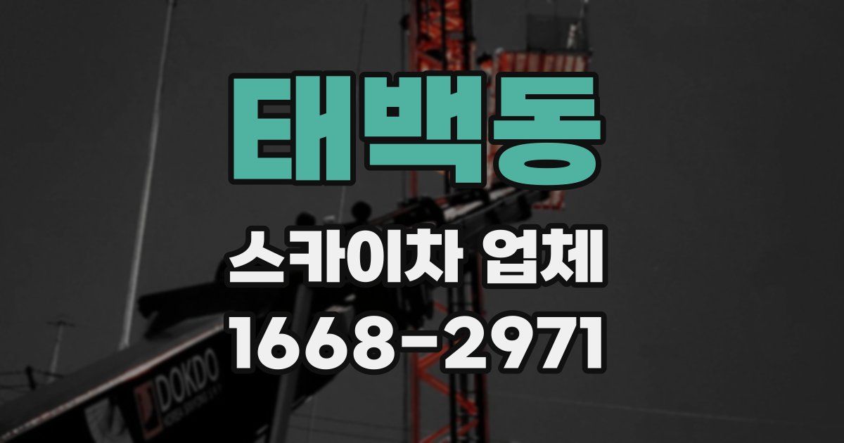 태백동 스카이차 업체