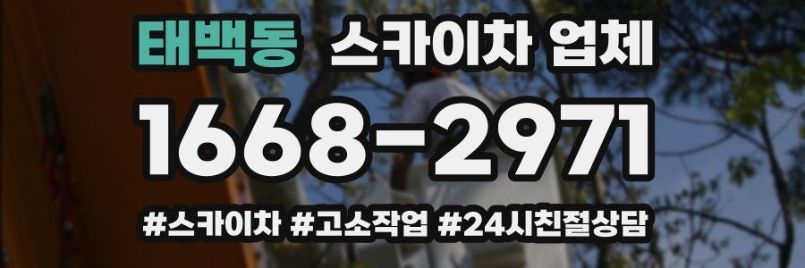 태백동 스카이차 업체