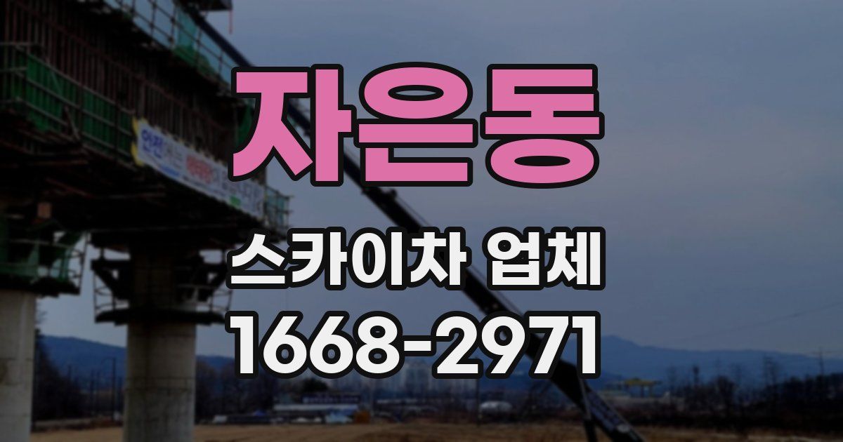 자은동 스카이차 업체