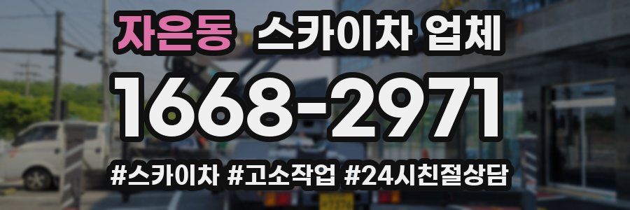 자은동 스카이차 업체