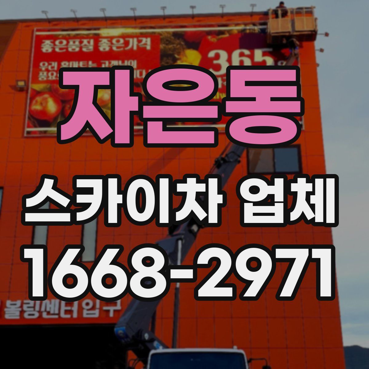 자은동 스카이차 업체