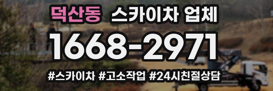 덕산동 스카이차 업체