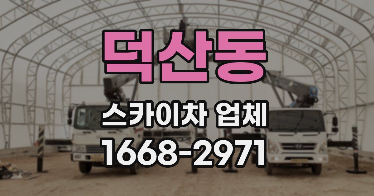 덕산동 스카이차 업체