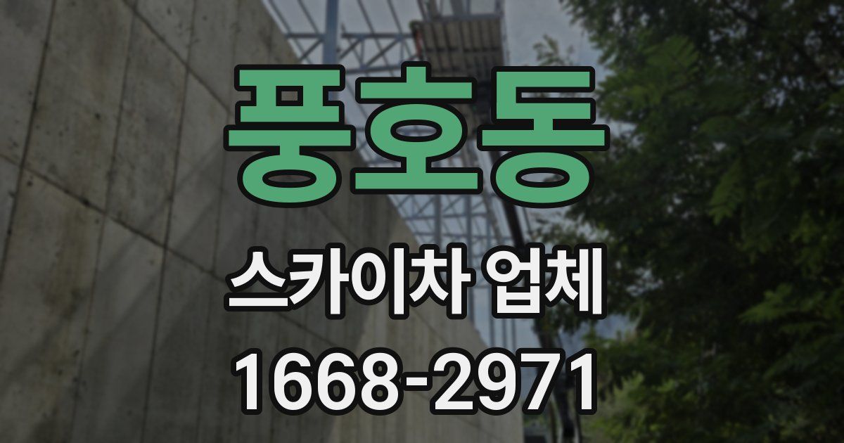 풍호동 스카이차 업체