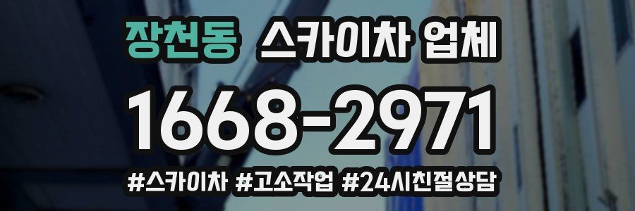 장천동 스카이차 업체