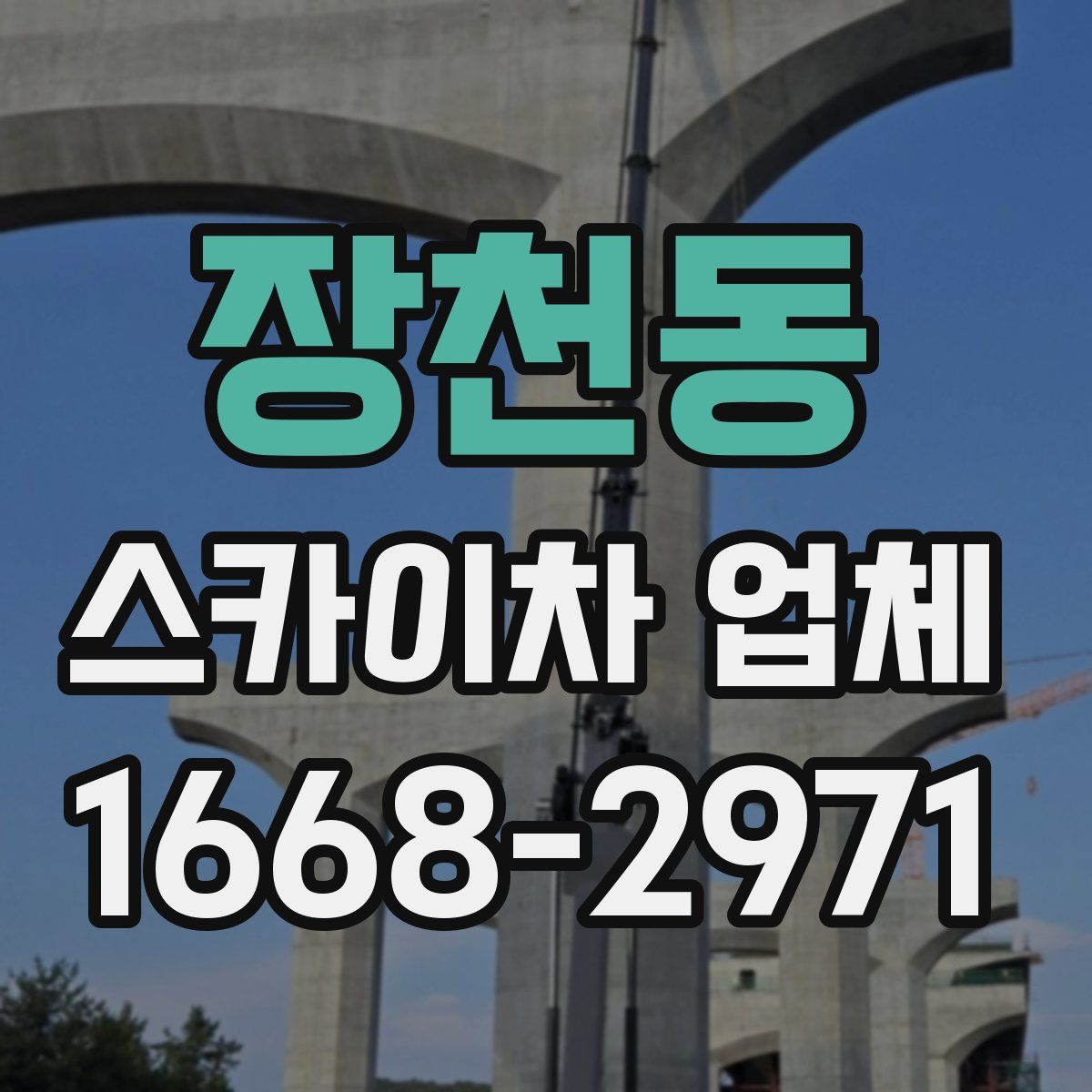 장천동 스카이차 업체