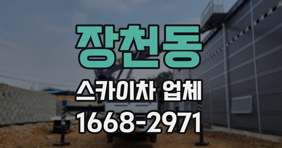 장천동 스카이차 업체
