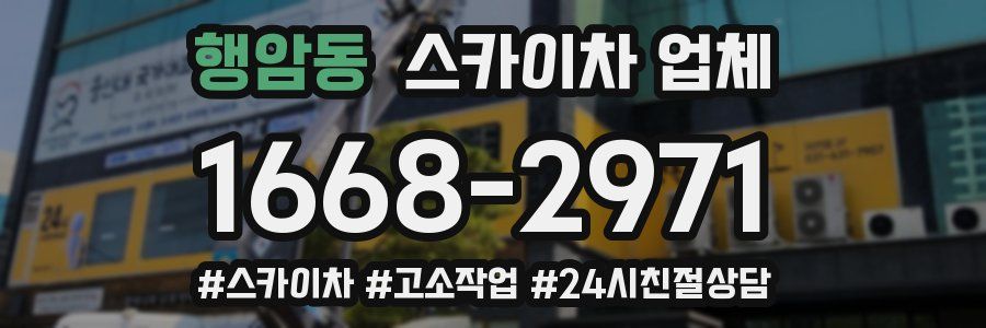행암동 스카이차 업체