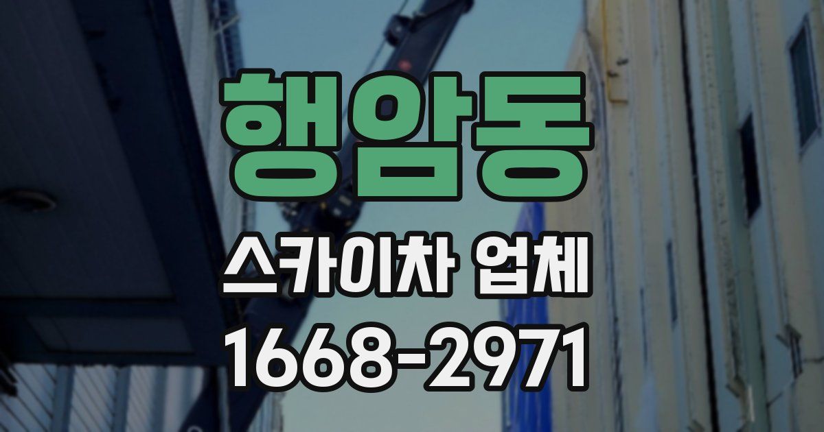 행암동 스카이차 업체