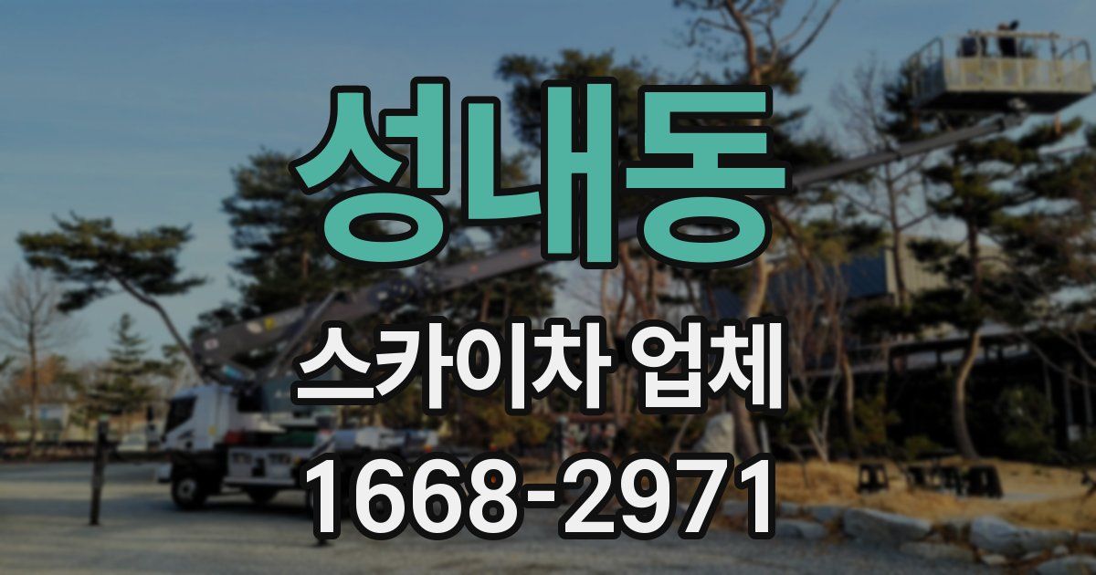 성내동 스카이차 업체