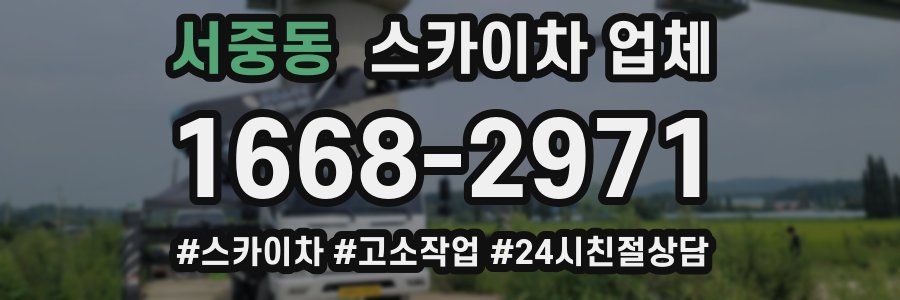 서중동 스카이차 업체