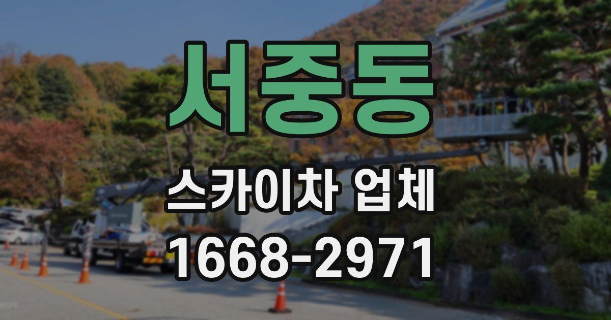 서중동 스카이차 업체