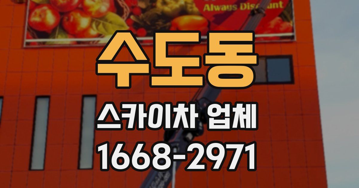 수도동 스카이차 업체