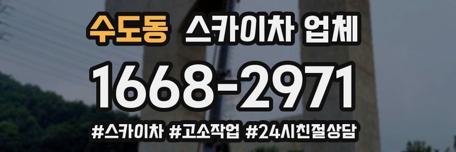 수도동 스카이차 업체