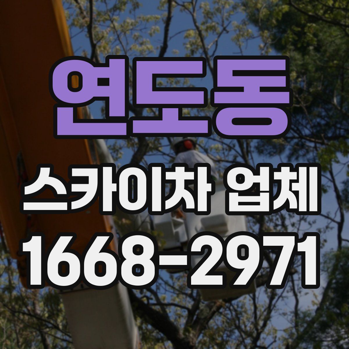 연도동 스카이차 업체