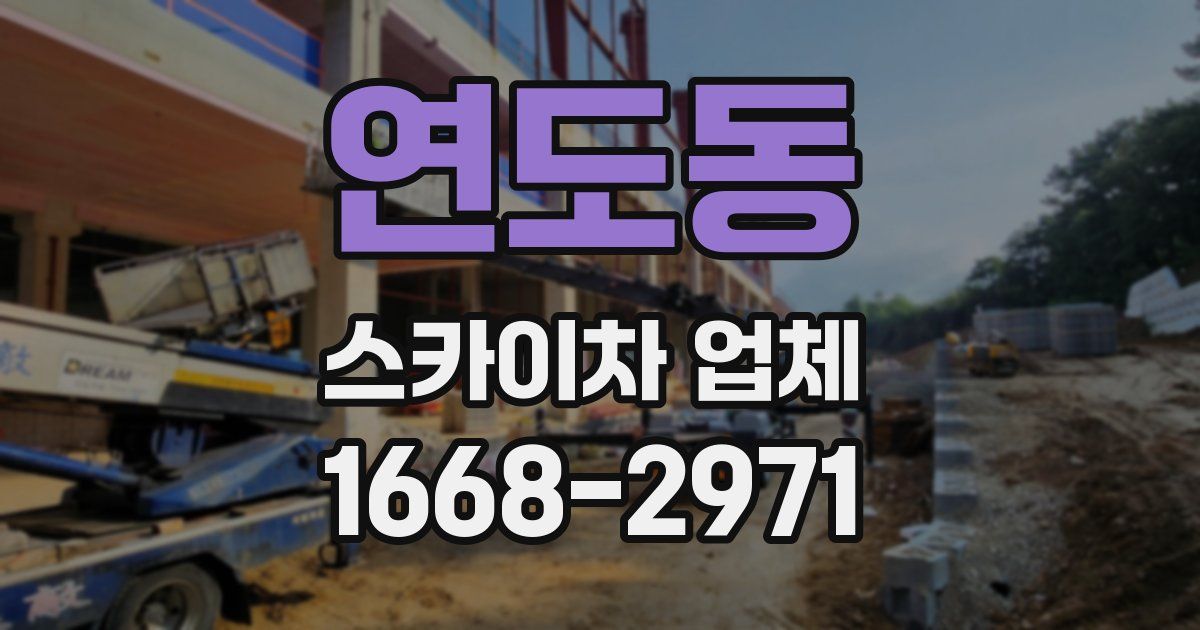 연도동 스카이차 업체