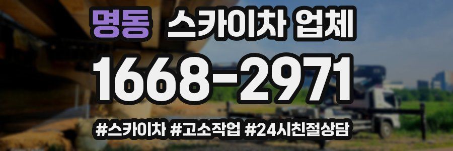 명동 스카이차 업체