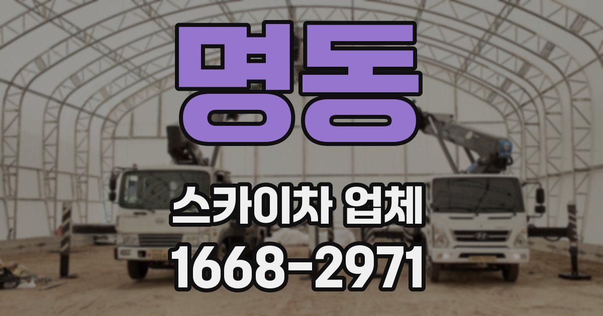 명동 스카이차 업체