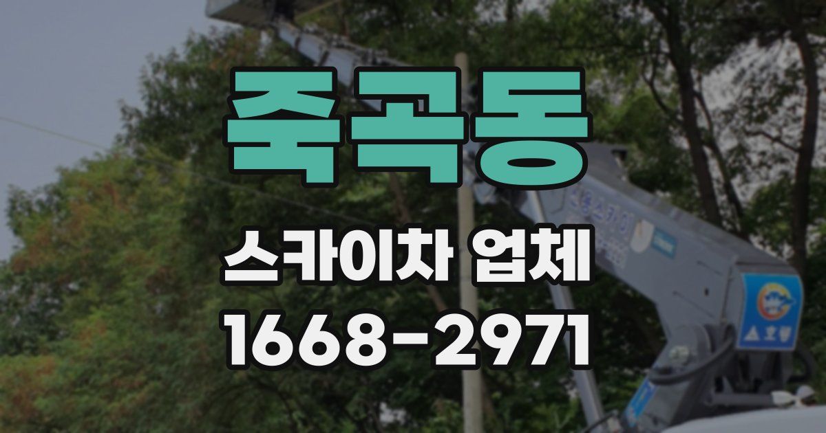 죽곡동 스카이차 업체
