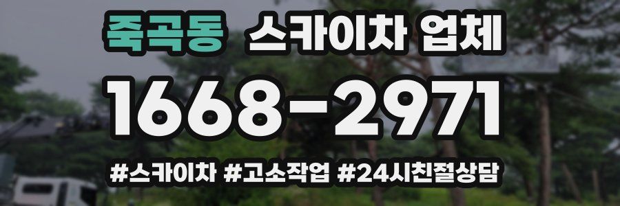 죽곡동 스카이차 업체