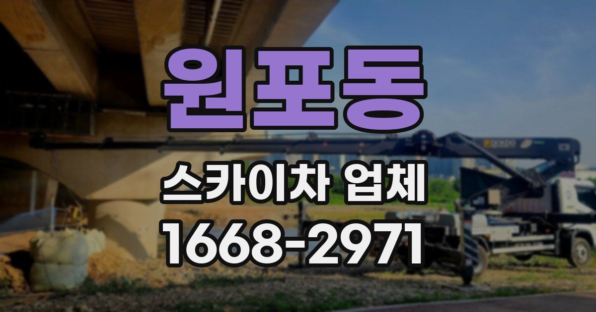원포동 스카이차 업체