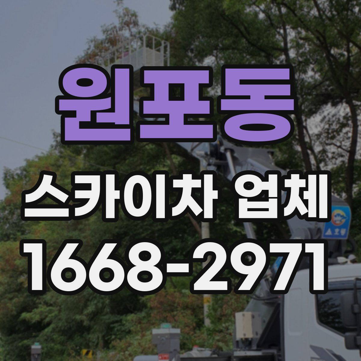 원포동 스카이차 업체