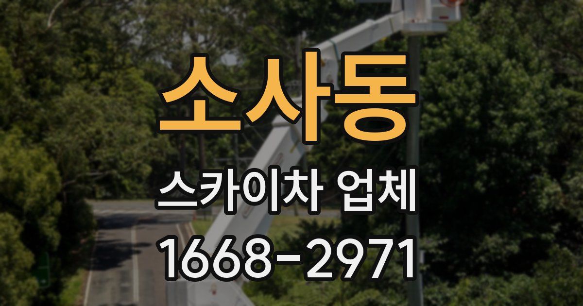 소사동 스카이차 업체
