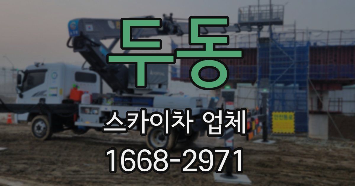 두동 스카이차 업체
