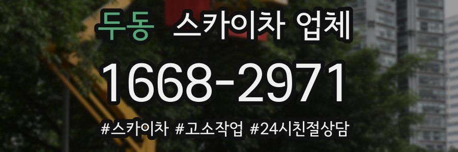 두동 스카이차 업체