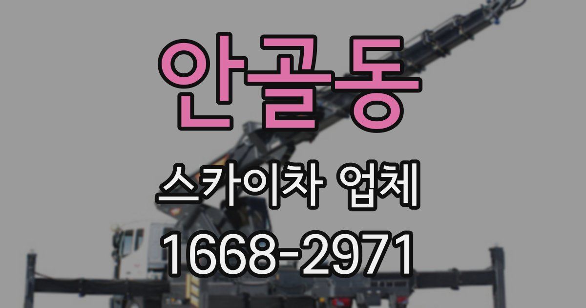안골동 스카이차 업체
