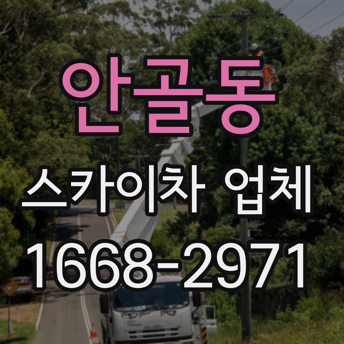 안골동 스카이차 업체