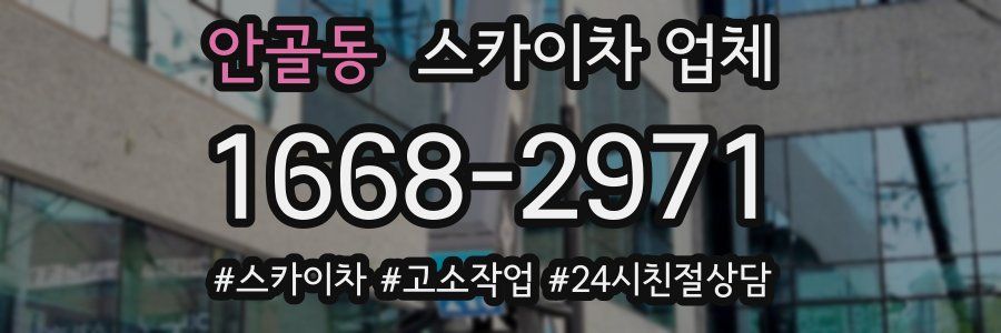 안골동 스카이차 업체
