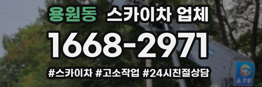용원동 스카이차 업체