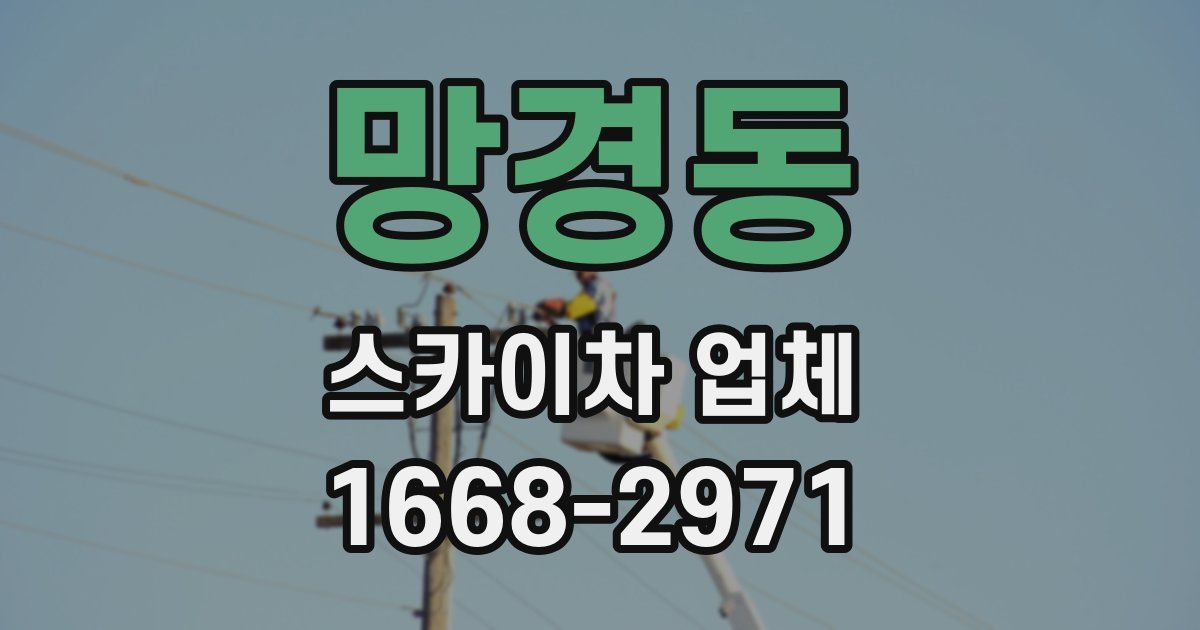 망경동 스카이차 업체