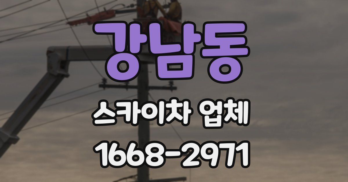 강남동 스카이차 업체