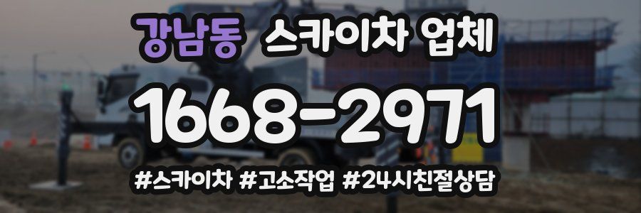 강남동 스카이차 업체