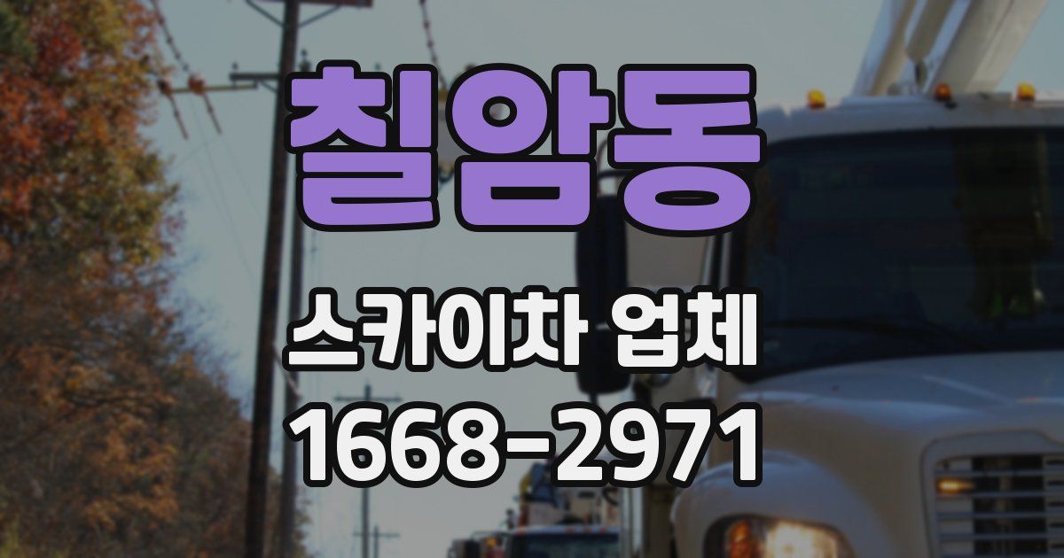 칠암동 스카이차 업체