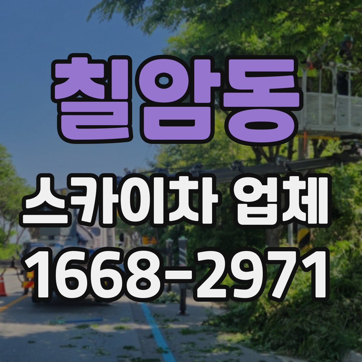 칠암동 스카이차 업체