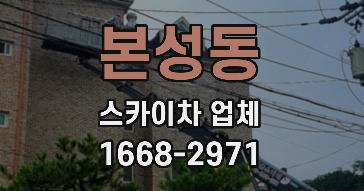 본성동 스카이차 업체